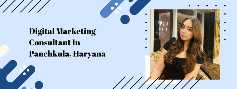 Digital Marketing Consultant In Panchkula, Haryana